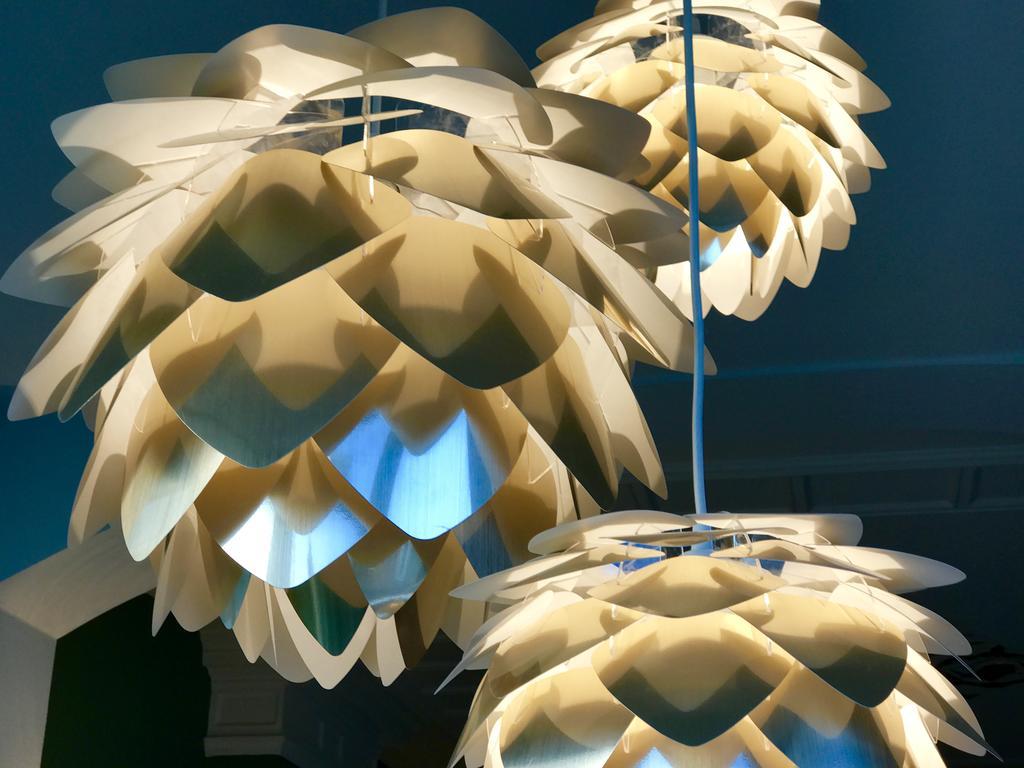 Maison Rue De La Mer زاندفورت المظهر الخارجي الصورة